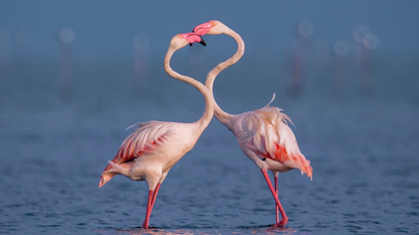 טיפים לזוגיות