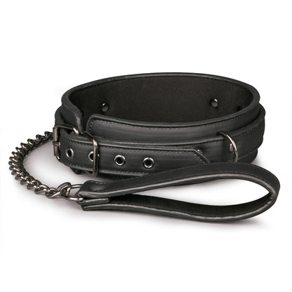 COLLAR AND LEAD SET